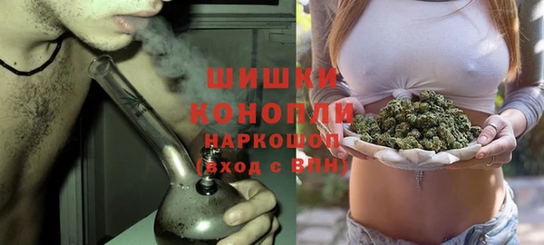 сатива Арсеньев