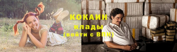 сатива Арсеньев