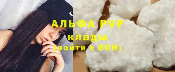 сатива Арсеньев