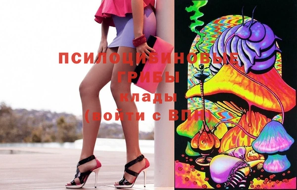 MDMA Premium VHQ Аркадак