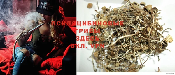 MDMA Premium VHQ Аркадак