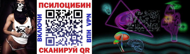 omg tor  Светлый  Галлюциногенные грибы мицелий 